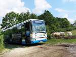 Irisbus Crossway der MVVG in Moltzow am 27.06.2019