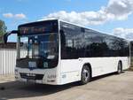 MAN Lion's City LE Ü der MVVG in Burg Stargard am 06.09.2019