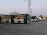Verschiedene Busse der MVVG in Neubrandenburg am 28.03.2020