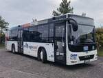 MAN Lion's City LE Ü der MVVG in Neubrandenburg am 13.10.2021