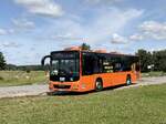 MAN Lion's City LE � der MVVG in Nossentin am 29.07.2024