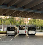 3 Rheinbahn Busse stehen in Benrath S auf einer Pause Platz.

(Nr. 8655) Linie 784 nach Wuppertal Vohwinkel 
(Nr. 7905) Linie 730 nach D�sseldorf Freiligrathplatz 
(Nr. 8610) Linie M1 nach D�sseldorf Freiligrathplatz 

Aufgenommen am: 28.09.2026