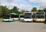 28.7.2015 Bernau, MAN Gelenk - Stadtbus der Barnimer Busgesellschaft sowie von 2 Subunternehmern