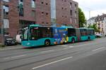 ICB Mercedes Benz Citaro C2 G Wagen 443 am 02.06.24 in Frankfurt am Main