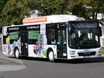 MAN Lion's City CNG der Stadtwerke Greifswald in Greifswald am 05.09.2021