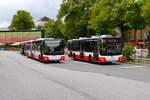 Hamburger Hochbahn MAN Lions City G Wagen 1808 und 1767 am 13.07.25 in Wandsbek