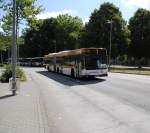 Mercedes Citaro, am 18.07.10 im Hamburg/ZOB