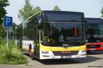 MAN Lion's City � S�dwestbus, Achern Mai 2026