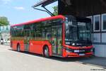 MAN Lion's Intercity LE Hybrid  S�dwestbus , Freudenstadt Juni 2026