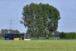 MB O 530 Citaro RVK/SVE passiert 2 Riesenbäume bei Euskirchen - 03.06.2013