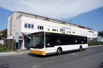 Stadtbus Mainz: MAN Lion's City der MVG Mainz / Mainzer Verkehrsgesellschaft, aufgenommen im Juni 2016 in Mainz-Bretzenheim.