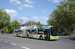 Stadtbus Mainz: MAN Lion's City G der MVG Mainz / Mainzer Verkehrsgesellschaft, aufgenommen im Mai 2017 an der Haltestelle  Goethestraße  in Mainz.