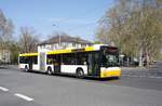 Stadtbus Mainz: MAN NG der MVG Mainz / Mainzer Verkehrsgesellschaft (Wagen 725), aufgenommen im April 2019 an der Haltestelle  Goethestraße  in Mainz.