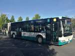 Mercedes Citaro II der Neubrandenburger Verkehrsbetriebe in Neubrandenburg am 01.06.2017 (Inzwischen ausgemustert)