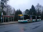 Mercedes Citaro III der Neubrandenburger Verkehrsbetriebe in Neubrandenburg am 17.02.2018