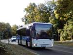 Irisbus Crossway LE, Busbetrieb Anger, Bergholz-Rehbrücke 06.Okt.2020