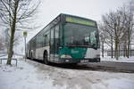 Am 08.01.2017 steht P-AV 946 an der Betriebshaltestelle, Potsdam Wissenschaftspark Golm.