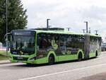 MAN Lion's City EfficientHybrid von Regionalbus Rostock in Rostock am 03.08.2024