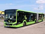 MAN Lion's City EfficientHybrid von Regionalbus Rostock in Rostock am 03.08.2024