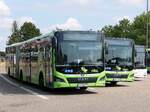 MAN Lion's City EfficientHybrid von Regionalbus Rostock in Rostock am 03.08.2024