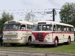 Ikarus 66 und IFA H6B der Rostocker Nahverkehrsfeunde/Rostocker Stra�enbahn AG in Rostock am 03.08.2024