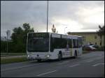 Mercedes Citaro II der Stadtwerke Stralsund in Stralsund am 08.09.2012