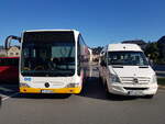 Z-VZ 93 RVW-8400 (Mercedes-Benz Citaro Facelift LE) und Z-VZ 133 RVW 8601 (Mercedes-Benz Sprinter) am 13.08.2019 in Hartenstein auf dem Teichplatz