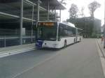 Das Foto zeigt einen der neuen Citaro-Gelenkbusse an der Haltestelle der Universitt des Saarlandes.