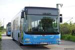 MAN Lion's City  BRN , Altlussheim April 2023