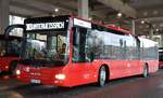Friedrich Müller Omnibus (FMO) ~ MAN Lions City ~ März 2019 Backnang ZOB ~ 383 Unterweissach