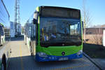 16.02.2019 | Werder / Havel (Brandenburg) | regiobus PM | PM-RB 317 | Mercedes Benz Citaro II |