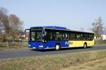 Bus Rheinland-Pfalz / Bus Dierdorf: Mercedes-Benz Citaro MÜ (WW-OJ 17) vom Busunternehmen Jörg Orthen GmbH (im Auftrag des Verkehrsunternehmens FriBus), aufgenommen im März 2021 im