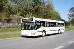 Bus Schwarzenberg / Bus Erzgebirge: MAN EL (ASZ-BV 41) der RVE (Regionalverkehr Erzgebirge GmbH), aufgenommen im Oktober 2020 im Stadtgebiet von Schwarzenberg / Erzgebirge.