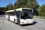 Bus Aue / Bus Erzgebirge: MAN EL (MEK-BV 18) der RVE (Regionalverkehr Erzgebirge GmbH), aufgenommen im Oktober 2020 im Stadtgebiet von Aue (Sachsen).