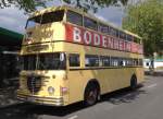 Historischer Büssing D2U von Traditionsbus Wg.1629 zum 50 Jährigen Geburtstag auf Linie 218, Messedamm/ZOB/ICC am 17.5.15