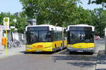 BVG Berlin, zum Betriebsende des Urbino 18 [GN05, 7, 8 und 9], die Wagen '4398' & '4346' als M49 und M45, in Berlin/ Hardenbergplatz im Juni 2020.