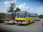 Ikarus 260 - C NV 260 H - Wagen 82 (rechts) und Ikarus 260 - G IK 260 H (rechts) - in Chemnitz, Omnibusbetriebshof - am 21-Juni-2015