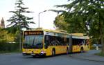 462 006 Mercedes Hybridbus auf der Linie 63 nach Bonnewitz ,Haltepunkt Strehlen 16.6.12