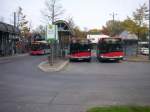 Drei Busse und drei Linien (735,732,722) an der Vennhauser Alle