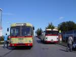 Zwei historische Linienbusse der Rheinbahn AG Dsseldorf.

Links ein MAN SG 192, Baujahr 1975, Wagennummer 8291. 
Rechts ein Mercedes O 305, Baujahr 1985, Wagennummer 6637.
Aufgenommen whrend der Feierlichkeiten  40 Jahre Betriebshof Mettmann , am 10. September 2006.
Ort: Einfahrt Betriebshof Mettmann, Seibelstrae.