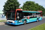 Bus Eisenach / Bus Wartburgkreis: Mercedes-Benz Citaro C2 (EA-KV 27) vom Verkehrsunternehmen Wartburgmobil (VUW), aufgenommen im August 2021 im Stadtgebiet von Eisenach.