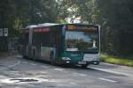 P-AV 983 fährt am 18.10.2014 auf der Linie 605 nach Potsdam Golm. Aufgenommen wurde Mercedes Benz O530, Potsdam Neues Palais.
