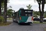 05.09.2020 | Brandenburg - Potsdam | P-AV 945 | MAN New Lion's City G |