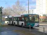 Volvo V7700 auf der Linie 694 nach Drewitz Stern-Center/Gerlachstrae an der Haltestelle Am Stern Johannes-Kepler-Platz.