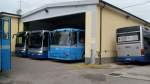 17.09.07,IVECO-Busse in Garda/Italien.Die genauen Bustypen sind mir nicht bekannt.