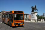 Iveco bus 37 der AMT, Linie 31, Ponte della Vittoria in Verona am 19.