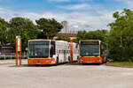 Rijeka. In einer der gr��ten St�dte Kroatiens wird der Stadtverkehr vom Busunternehmen „Autotrolej“ gef�hrt. Ein Mercedes Connecto und ein Mercedes Citaro der 1. Generation stehen am 10. Mai 2026 abfahrbereit am Busbbahnhof.