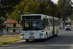 B 0201, MAN von Sales Lentz, als Schulbus in der Nähe von Mersch unterwegs 17.10.2011