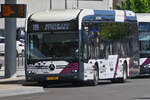 EF 1286 Mercedes Benz eCitaro von Emile Weber steht am Busbahnhof in Mersch. 05.2024