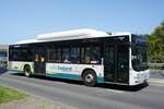 Niederlande / Bus Zeeland / Bus Middelburg: MAN Lion's City CNG (Wagen 2980) von Connexxion (Transdev Niederlande), aufgenommen im Juli 2021 im Stadtgebiet von Middelburg (Hauptstadt der